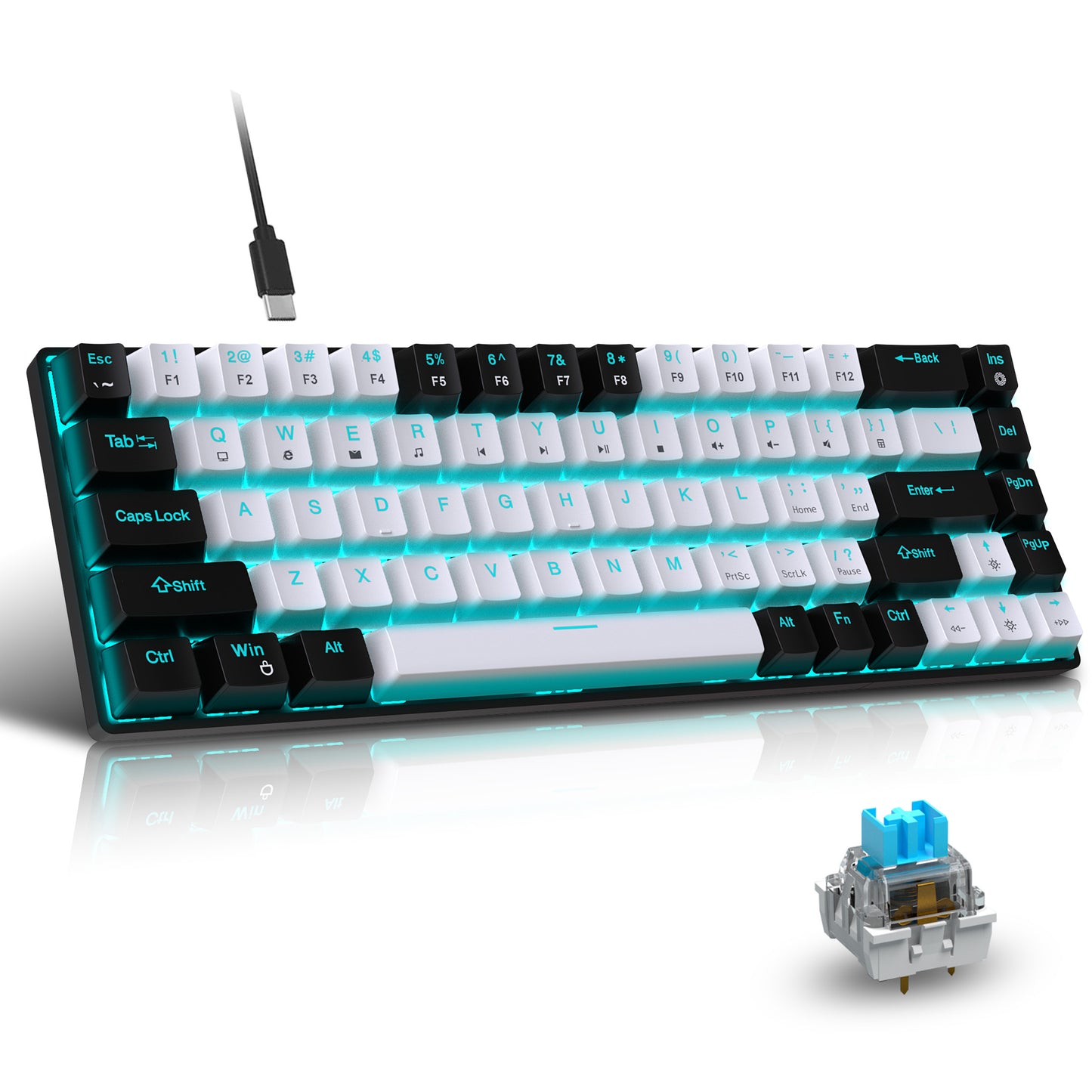 Mechanical Gaming Keyboard Wired, 68 Keys RGB Backlit Mini Keyboard,Multimedia & Anti-ghosting Keys for Windows Computer Laptop PC Mac Gamer,Black and White