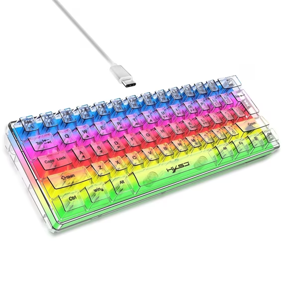Hexamurby         60% Wired Gaming Keyboard/Fully Transparent Keyboard with 6+8 RGB Backlight Effects/61 Mini Keys Keyboard for PC/Mac Gamer/Typist/Travel
