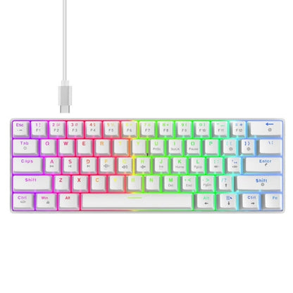 RCY 61 Keys RGB Optical Mechanical Gaming Keyboard,Wired PC Gaming Keyboards with RGB Backlight,Blue Swiches for Gamer