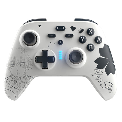 ERFKJE Switch Pro Controller for N-Switch Controller/Switch Lite/OLED, Wireless Switch Controllers with Joystick,Programmable,TURBO/Wakeup