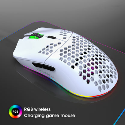 RCY T66 2.4G Ultralight Wireless Gaming Mouse White