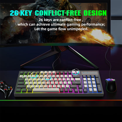 RCY USB Wired Gaming Keyboard, 96 Keys